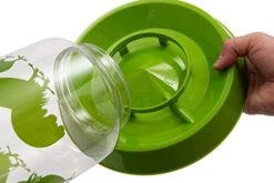 Lixit Reversible Waterers And Feeders For Chickens And Wild Birds (128 Ounce (Pack Of 2)) -Zoo Shop 41Ik2Yo0YjL