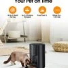 WOPET Cat Feeder Automatic Pet Dry Food Dispenser, Timed Cat & Small Dog Feeder With Desiccant Bag, Programmable Portion Control 1-6 Meals Daily, Support AC Powered & Battery Operated Feeder (Black) -Zoo Shop 41ItQ8zorhL