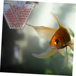 NOGRAX 2 Pcs Double Tool Dispenser Red For Glass Worms Bait Useful Feeder V- Shrimp Aquarium Food Acrylic With Tank Cone Aquariums Cup Shaped Live Brine Worm Fish Feeding Feeder (Color : Transparent 16 NOGRAX 2 Pcs Double Tool Dispenser Red For Glass Worms Bait Useful Feeder V- Shrimp Aquarium Food Acrylic With Tank Cone Aquariums Cup Shaped Live Brine Worm Fish Feeding Feeder (Color : Transparent -Zoo Shop 41IvW8fqtUL