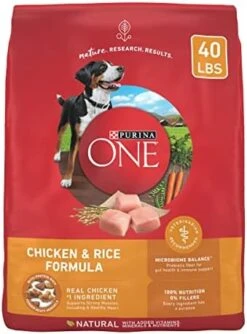 Purina ONE Chicken And Rice Formula Dry Dog Food - 31.1 Lb. Bag -Zoo Shop 41J1UbdDEML. AC 1