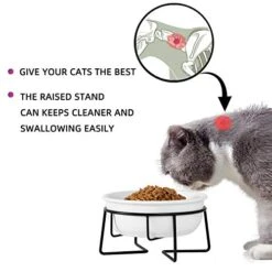 Ceramic Raised Cat Dishes Or Small Dog Bowl With Metal Stand 12 Ounces, Pet Food Or Water Bowls, White -Zoo Shop 41JBXq6xxWL