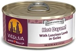 Weruva Classic Dog Food, Steak Frites Dinner With Beef, Pumpkin & Sweet Potato In Gravy, 14oz Can (Pack Of 12) -Zoo Shop 41JTy0dV3KL. AC
