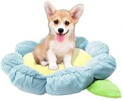 TONBO Soft Plush Small Cute And Cozy Food Dog Cat Bed, Washer And Dryer Friendly (Dim Sum) -Zoo Shop 41JemnD2Y7L. AC