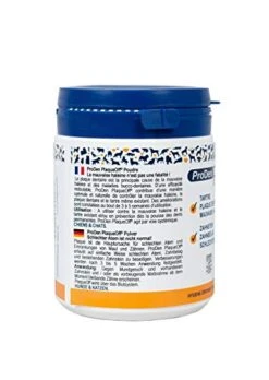 Zoo Shop -Zoo Shop 41JjRuwBk4L