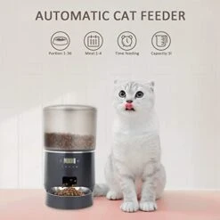 Automatic Cat Feeders, Didumoine 4L Timed Auto Dog Feeders With Stainless Steel Bowl, Auto Pet Feeder For Cats And Dogs, Black -Zoo Shop 41JqoCfHhDL