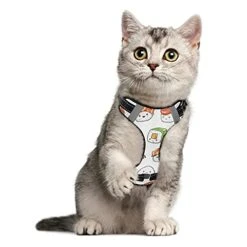 Poeticcity Seamless Colorful Japanese Food On White No Pull Vest Harness, Padded Reflective Adjustable Harnesses For Small To Large Dogs Cats With Leash Clips Easy Control Handle M -Zoo Shop 41JyfPQVXBL