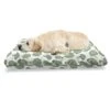 Ambesonne Vegetables Pet Bed, Continuous Foods Pattern With Sketchy Hatched Broccoli Print, Chew Resistant Pad For Dogs And Cats Cushion With Removable Cover, 24" X 39", Fern Green Pale Green -Zoo Shop 41KVRJ0OQsL