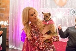 SparkleDog Multivitamin Daily Supplement Soft Chews For Dogs - Dietary Support For Small Medium Or Large Pets - For Active Working & Senior Canines - 60 Chews -Zoo Shop 41KWrPc1aUS