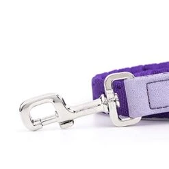 MyFamily Made In Italy Italian Nylon Dog Leash, White Bronze Or 24K Gold Plated Metallic Finishes, Practical And Comfortable, Handmade, Milan Collection -Zoo Shop 41LdguXo18L