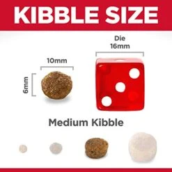 Hill's Science Diet Dry Dog Food, Adult, Small Bites, Lamb Meal & Brown Rice Recipe, 15.5 Lb Bag -Zoo Shop 41LhKWArVKL 1