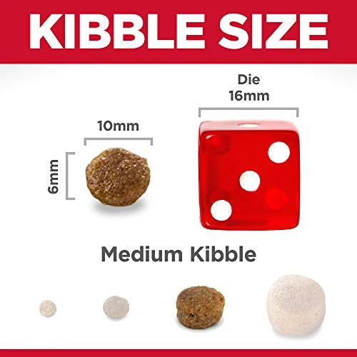 Hill's Science Diet Dry Dog Food, Adult, Small Bites, Lamb Meal & Brown Rice Recipe, 33 Lb. Bag 6 Hill's Science Diet Dry Dog Food, Adult, Small Bites, Lamb Meal & Brown Rice Recipe, 33 Lb. Bag - Image 4