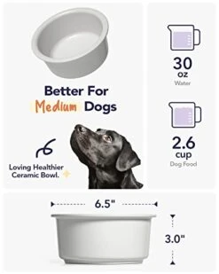 LE TAUCI PET Ceramic Dog Bowl, 2.6 Cups Dog Water Bowl, Weighted Dog Food Bowl Dish For Small Medium Breed, Fit For Dog Bowl Stand With Hole Opening Between 5.75" - 6.25" 14 LE TAUCI PET Ceramic Dog Bowl, 2.6 Cups Dog Water Bowl, Weighted Dog Food Bowl Dish For Small Medium Breed, Fit For Dog Bowl Stand With Hole Opening Between 5.75" - 6.25" -Zoo Shop 41M602S8jaL
