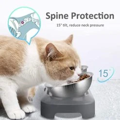 AYADA Raised Cat Food Bowl Set, Stainless Steel Cat Dish For Food Water Anti Vomiting Elevated With Stand Ergonomic Lifted Slanted Tilted 15 Angle Metal Double Kitty Kitten Wet Food Bowl 2 Pet Bowl -Zoo Shop 41M7AnNs9wL