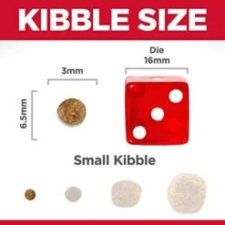 Hill's Science Diet Dry Dog Food, Adult, Small & Mini Breeds, Sensitive Stomach & Skin, Chicken Recipe, 4 Lb. Bag 13 Hill's Science Diet Dry Dog Food, Adult, Small & Mini Breeds, Sensitive Stomach & Skin, Chicken Recipe, 4 Lb. Bag -Zoo Shop 41MAOKIw0UL