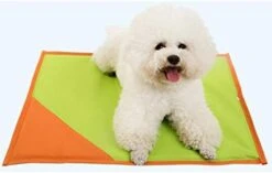 Summer Pet Dog Bed Pad Crates Ice Cooling Cat Sleeping Mat Keep Cool Nylon Kennels Sofa House -Zoo Shop 41MllnmIcL. AC