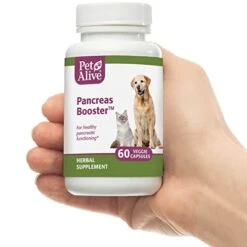 PetAlive Pancreas Booster - All Natural Herbal Supplement For Pancreatic Health And Digestive Functioning In Cats And Dogs - Supports Healthy Insulin Production - 60 Veggie Caps 10 PetAlive Pancreas Booster - All Natural Herbal Supplement For Pancreatic Health And Digestive Functioning In Cats And Dogs - Supports Healthy Insulin Production - 60 Veggie Caps -Zoo Shop 41N7sfFV5WL