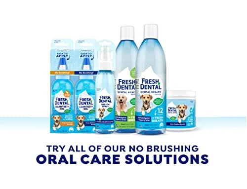 Naturel Promise Fresh Dental Clean Teeth Gel, 4 Fl Oz - Easy To Use Pet Dental Gel That Helps Remove Plaque, Tartar, And Freshen Breath-No Brushing Pet Oral Care For Dog Dental Care, Cat Dental Care 7 Naturel Promise Fresh Dental Clean Teeth Gel, 4 Fl Oz - Easy To Use Pet Dental Gel That Helps Remove Plaque, Tartar, And Freshen Breath-No Brushing Pet Oral Care For Dog Dental Care, Cat Dental Care - Image 5