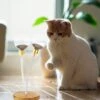 Cat Feeder Toy - 360-Degree Indoor Cats Slow Feeder Interactive Toy With Stable Base,Indoor Cats Food Snack Dispenser Toy For Living Rooms Yuab -Zoo Shop 41NuoJf69cL