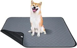 Avont 2 Pack Washable Reusable Puppy Pee Pad, Highly Absorbent Non Slip Dog Training Whelping Pads With Waterproof Bottom, Guinea Pig Fleece Cage Pen Liner Cats Food Feeding Mat -Large -Zoo Shop 41O33ePNVqL. AC