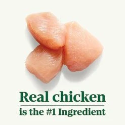 Nutro Natural Choice Large Breed Adult Dry Dog Food, Chicken & Brown Rice Recipe Dog Kibble, 13 Lb. Bag -Zoo Shop 41O7V09vV3L