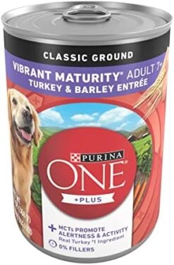 Purina ONE High Protein Wet Dog Food True Instinct Tender Cuts In Dog Food Gravy With Real Beef And Wild-Caught Salmon - (12) 13 Oz. Cans 29 Purina ONE High Protein Wet Dog Food True Instinct Tender Cuts In Dog Food Gravy With Real Beef And Wild-Caught Salmon - (12) 13 Oz. Cans -Zoo Shop 41OZnHqs5zL. AC