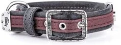 MyFamily Adjustable Dog Collar In Italian Made In Italy Leatherette, Antique Silver Metallic Finish, Comfortable And Durable, Handmade, London Collection -Zoo Shop 41OfgCXr9OL. AC