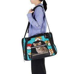 Pet Carrier Cute Cartoon Rolls And Sushi In Kawaii Japanese Food Soft-Sided Pet Travel Carriers For Cats,Dogs Puppy Comfort Portable Foldable Pet Bag Airline Approved -Zoo Shop 41OnedjGVgS