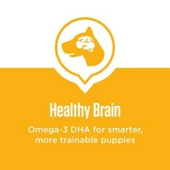 IAMS Smart Puppy Dry Dog Food With Real Chicken, 15 Lb. Bag -Zoo Shop 41OtrBfFayL