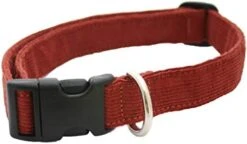 Hemp Corduroy Dog Collar - No Pattern (3/4" Medium, Avocado) -Zoo Shop 41OxPonwfZL. AC