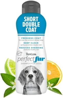 TropiClean Perfect Fur Dog Shampoo For Shedding Control For All Breeds With A Short Double Coat, 16 Ounce -Zoo Shop 41P3oZCTtVL. AC