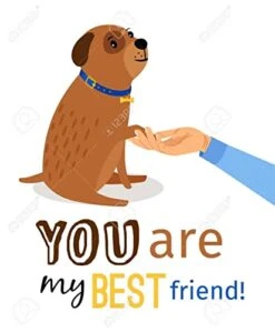 BRIGHTT - Family, Food, And Football Screen Print Dog Shirt Baby Blue Lg For Pet Dog Puppy Pup Pupper Doggos -Zoo Shop 41PDEXBLhvL