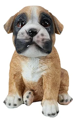 Ebros Gift Realistic Lifelike Fawn Boxer Puppy Dog Sitting Figurine 6.25" Tall Animal Collectible Boxers Pet Pal Pooch Sculpture 4 Ebros Gift Realistic Lifelike Fawn Boxer Puppy Dog Sitting Figurine 6.25" Tall Animal Collectible Boxers Pet Pal Pooch Sculpture - Image 2