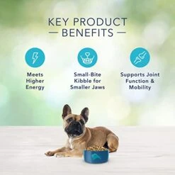 Blue Buffalo Freedom Grain Free Natural Adult Small Breed Dry Dog Food, Chicken 4-lb -Zoo Shop 41PZezs6KML