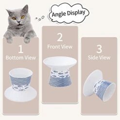 6.25 Inch Extra Wide Ceramic Raised Cat Food Bowls, Elevated Porcelain Cat Feeding Dish, Heavy Pet Feeder Bowl For Elder Big Cats,Small Dogs, Anti Vomiting, Protect Pet's Spine, 2 Pack(Blue&Orange) -Zoo Shop 41PzvIoJf6L