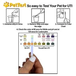 UTI Test Strips For Dogs & Cats Detect A Urinary Tract Infection In Your Pet. Use PetTest Cat & Dog UTI Test Strips At Home For An Easy Urine Test. UTI Test For Cats & Dogs Help Manage Pet Health. -Zoo Shop 41Q4wTNLiTL