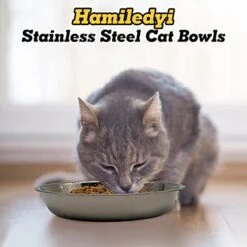 Hamiledyi 12 Pcs Stainless Steel Cat Bowls Replacement Whisker Fatigue Relief Cat Plates Pet Water Dish Shallow Kitten Bowls Pet Bowls For Dogs Cats And Other Small Animals (7.68 Inch Diameter) 12 Hamiledyi 12 Pcs Stainless Steel Cat Bowls Replacement Whisker Fatigue Relief Cat Plates Pet Water Dish Shallow Kitten Bowls Pet Bowls For Dogs Cats And Other Small Animals (7.68 Inch Diameter) -Zoo Shop 41Q8cum1dvL