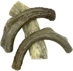 Deer Valley Dog Chews (Giant Single, 8-10 Inches) - Sustainably-Sourced Deer Antler For Extra Large Breeds - Durable And Enticing Chew Toy For Aggressive Chewers 13 Deer Valley Dog Chews (Giant Single, 8-10 Inches) - Sustainably-Sourced Deer Antler For Extra Large Breeds - Durable And Enticing Chew Toy For Aggressive Chewers -Zoo Shop 41Q9Y78ygL. AC