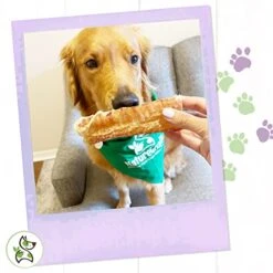 Nature Gnaws Beef Trachea For Dogs - Premium Natural Beef Bones - Simple Single Ingredient Crunchy Dog Chew Treats - Rawhide Free 6 Count -Zoo Shop 41QEj82IcXL