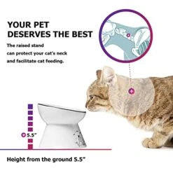 Y YHY Elevated Cat Bowl, Tilted Raised Cat Water Bowl 6-Inch Ceramic Cat Food Bowl Anti Vomiting For Dry & Wet Foods Cat Dish For Indoor Cats, Small Dogs,Protect Pet's Spine -Zoo Shop 41QV5Q9ZOFL