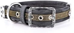 MyFamily Adjustable Dog Collar In Italian Made In Italy Leatherette, Antique Silver Metallic Finish, Comfortable And Durable, Handmade, London Collection -Zoo Shop 41QWqD4wVeL. AC 2