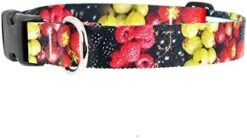 Buttonsmith Pickles Dog Collar - Fadeproof Printing, Military Grade Buckle, Choice Of 6 Sizes, Made In The USA -Zoo Shop 41QiSwQECfL. AC