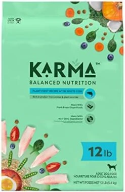 KARMA BALANCED NUTRITION Plant-First Recipe, Adult Natural Dry Dog Food With Chicken, 4 Lb. Bag -Zoo Shop 41Qv4HWMwnL. AC