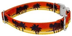 Country Brook Petz - Premium Caribbean Sunset Dog Collar - Summer Breeze Collection With 5 Sunny Designs (1 Inch, Large) -Zoo Shop 41RQMMNW1SL