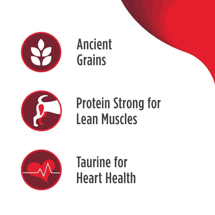 Nulo Frontrunner All Breed Adult Dry Dog Food, Premium All Natural Dog Kibble, Made With Ancient Grains Promote Fullness With Healthy Digestive Aid BC30 Probiotic & Antioxidants For Immune Health 6 Nulo Frontrunner All Breed Adult Dry Dog Food, Premium All Natural Dog Kibble, Made With Ancient Grains Promote Fullness With Healthy Digestive Aid BC30 Probiotic & Antioxidants For Immune Health - Image 4