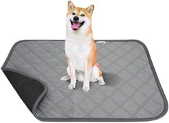 Avont 2 Pack Washable Reusable Puppy Pee Pad, Highly Absorbent Non Slip Dog Training Whelping Pads With Waterproof Bottom, Guinea Pig Fleece Cage Pen Liner Cats Food Feeding Mat -Large -Zoo Shop 41RTCIN w1L. AC
