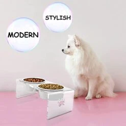 Ghims Raised Cat Bowl, Dog Bowl, Elevated Pet Feeding Station, 15° Tilted Neck Protective Acrylic Stand With Double Stainless Steel Bowl And One Spoon, Raised Food Bowl Set For Small Cat/Dog -Zoo Shop 41RTyCSiTOL