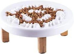 Fatcatjoy Cat Slow Feeder Bowl Ceramic Elevated Plate Cat Puzzle Feeder Improve Vomiting Dog Food Bowls Slow Feeder Easy To Clean(with Brush) -Zoo Shop 41Rc9cH0m9S. AC
