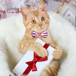 100 Pieces Donut Ice Cream Dog Bow Tie Collar Set Include 30 Dog Neckties, 30 Collar Flowers And 40 Dog Bow Tie, Adjustable Valentine Dog Bows Grooming For Small Medium Dogs Supply 14 100 Pieces Donut Ice Cream Dog Bow Tie Collar Set Include 30 Dog Neckties, 30 Collar Flowers And 40 Dog Bow Tie, Adjustable Valentine Dog Bows Grooming For Small Medium Dogs Supply -Zoo Shop 41RdKy82OFL