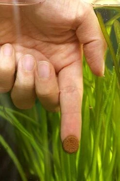 Sera O-nip Nature 6 Oz 250 Ml, One Size -Zoo Shop 41RdiJBb5zL