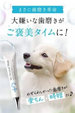 Dr. Dental Wan Cat Dog Toothpaste Toothbrush Set | Pet Breath Freshener | Japan Quality | Reduce Plaque & Tartar | Formulated By Vet And Pet Trainer | Best Organic Pet Dental Care Gel -Zoo Shop 41RwlryIJKL